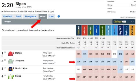 racing odds comparison